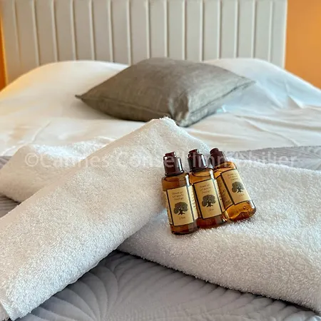 Apartment And Premium With Terrace & Sea View Cannes