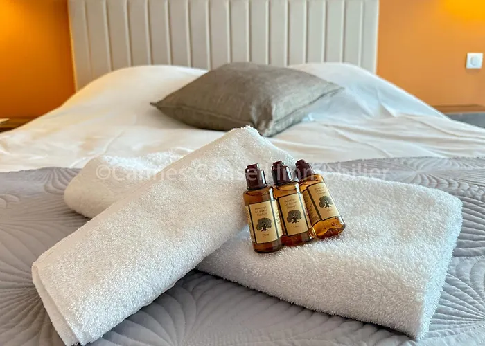 Διαμέρισμα And Premium With Terrace & Sea View Κάννες